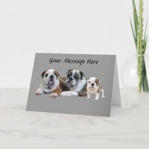 Cartão De Festividades Bulldog Trio Greeting Card
