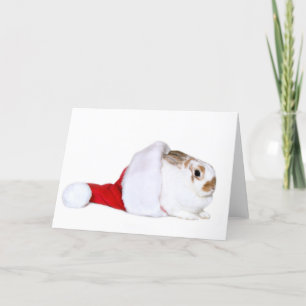 Cartão De Festividades Bunny Christmas