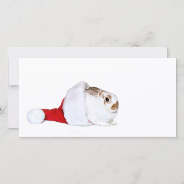 Cartão De Festividades Bunny Christmas (Frente)