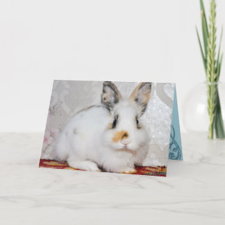 Cartão De Festividades Bunny Rabbit
