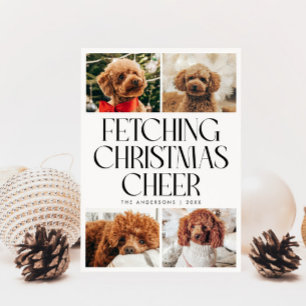 Cartão De Festividades Buscando Foto de Cachorro Natalino Branco