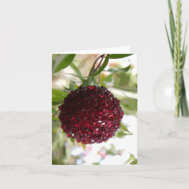 Cartão De Festividades Bush Natal