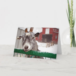 Cartão De Festividades Cabra de Yule