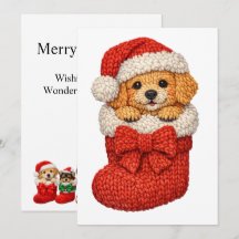 Cachorrinho de Natal Trico