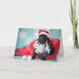 Cartão De Festividades Cachorrinho Papai Noel Natal