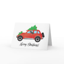 Cachorro Afegão - Carro com Árvore de Natal no Top