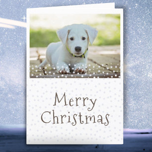 Cartão De Festividades Cachorro Animal de Estimação Foto Estrelas Feliz N
