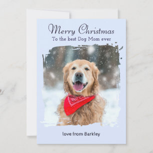 Cartão De Festividades Cachorro Azul De Inverno Cachorro Mãe Foto Persona