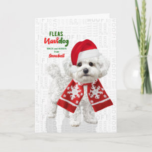 Cartão De Festividades Cachorro Bichon Frise Engraçado Fleas Navidog com 