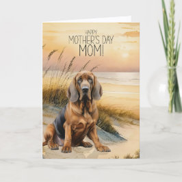 Cartão De Festividades Cachorro Bloodhound Praia do Pôr do Sol Dia das Mã