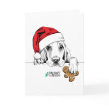 Cachorro Bonito com Biscoito Gingerpão