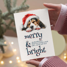 Cachorro bonito com Feliz de Papai Noel e Brilho