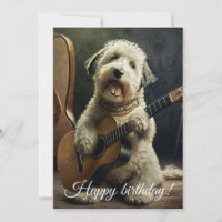 Cachorro Bonito com Violão.
