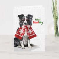 Cachorro Border Collie Piadas de Pulgas Navidog Na