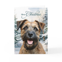 Cachorro Border Terrier Floresta Natal
