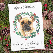 Cachorro Bulldog Francês Elegante Feliz Natal