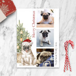 Cartão De Festividades Cachorro-Cachorro e Foto de Cachorro-Pet da Árvore<br><div class="desc">Este cartão de Natal do Pug bonito apresenta um cachorro vestindo um chapéu de Papai Noel sentado em frente a uma árvore de Natal iluminada. A saudação no cartão diz "Feliz Natal" e pode ser personalizada. Personalize ainda mais este cartão de feriado com três fotos do seu cão de estimação,...</div>