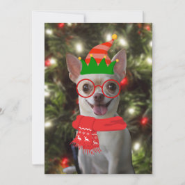 Cartão De Festividades Cachorro Chihuahua Engraçado Pet Natal 