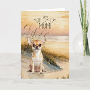 Cartão De Festividades Cachorro Chihuahua Tan Praia do Pôr do Sol Dia das