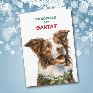 Cartão De Festividades Cachorro Collie Fofo Procura pelo Papai Noel