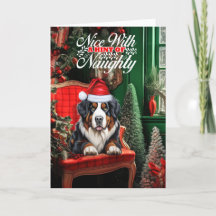 Cachorro de Bernese Cachorro de Natal travesso ou 