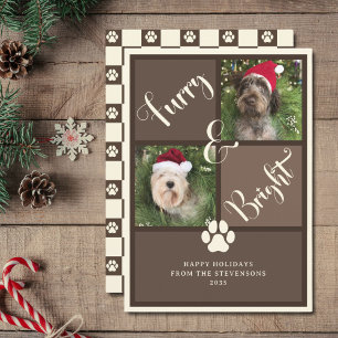 Cartão De Festividades Cachorro De Colagem De Fotos Castanho E Furtivo