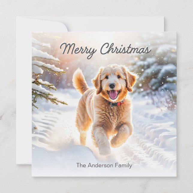 Cartão De Festividades Cachorro De Goldendoodle Bonito Na Neve Feliz Nata (Frente)