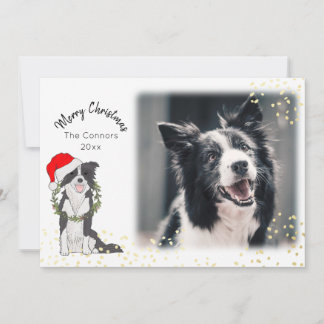 Cartão De Festividades Cachorro de Natal com Collie