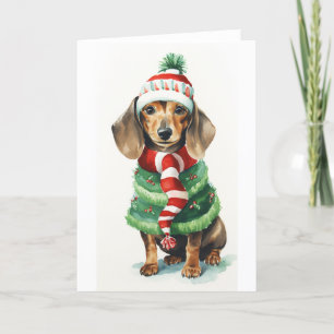 Cartão De Festividades Cachorro de Natal, Daschund (doxy) de Feriado