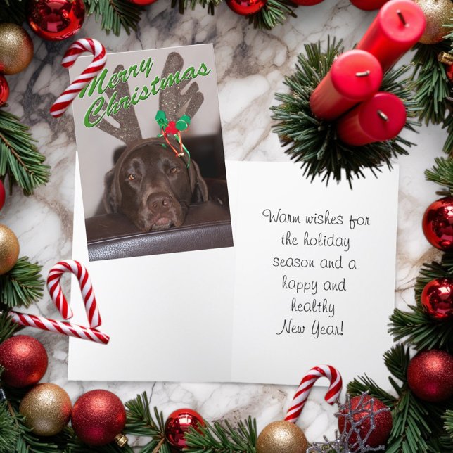 Cartão De Festividades Cachorro de Natal Gafanhoto Vestindo Glitter Antle (Folding Christmas card cover and inside)