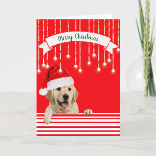 Cartão De Festividades Cachorro de Natal para Retriever ouro