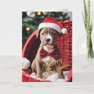 Cartão De Festividades  Cachorro de Natal Pit Bull em um cesto 