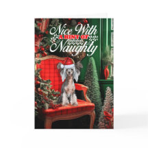 Cachorro de Natal Prendido Chinês Malvado ou Bonit