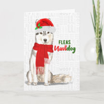 Cachorro de Natal Siberian Huskey Fleas NaviDOG