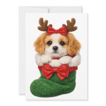 Cachorro de Natal Tricope de Inverno