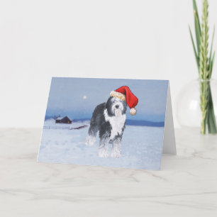Cartão De Festividades Cachorro de Ovelha do Inglês Antigo Chapéu de Papa