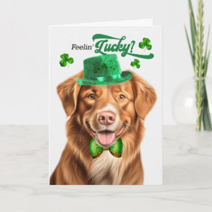 Cartão De Festividades Cachorro Duck Toller se Sentindo Sortudo Dia de Sã