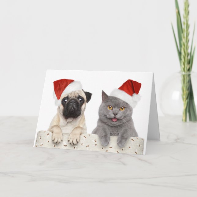 Cartão De Festividades Cachorro E Gato No Chapéu Vermelho De Natal (Frente)