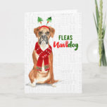 Cartão De Festividades Cachorro Engraçado de Natal Fleas NaviDOG<br><div class="desc">Amantes boxer podem enviar ou ser o receptor sortudo desta saudação alegre e alegre para o feriado com um tema engraçado do Fleas NaviDOG e um cachorro boxer bonito vestido para a temporada.</div>