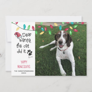 Cartão De Festividades Cachorro Engraçado Dizendo Luzes de Feriado Foto N