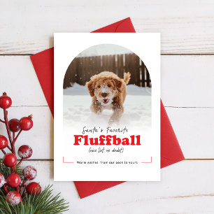 Cartão De Festividades Cachorro Fofo Foto Engraçada de Arco de Natal