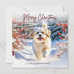 Cartão De Festividades Cachorro Fofo Lhasa Apso Na Neve Feliz Natal