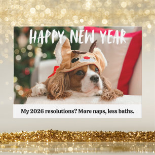 Cartão De Festividades Cachorro Fofo Pet Divertido Foto Feliz Ano Novo