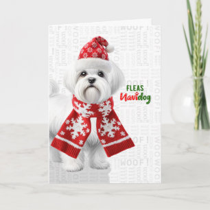 Cartão De Festividades Cachorro Fofo Shih Tzu Piolhos Engraçados Navidog