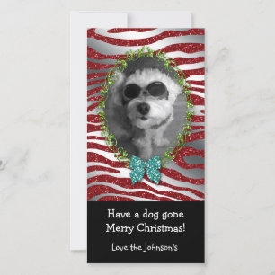 Cartão De Festividades Cachorro Fotada de Fotinha Cachorra Zebra