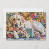Cachorro Golden Retriever Apresenta Natal