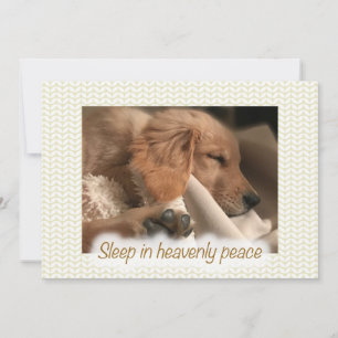 Cartão De Festividades Cachorro Golden Retriever Paz de Natal