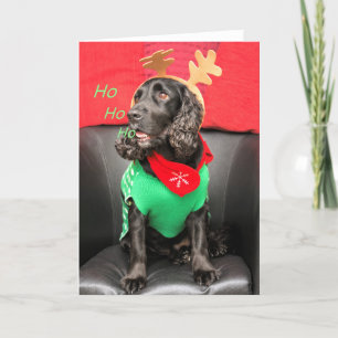 Cartão De Festividades Cachorro HoHoHo Bonito