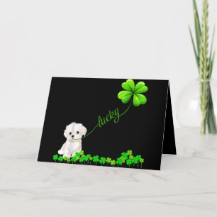 Cartão De Festividades Cachorro Irish Shamrock Lucky Com Um Maltês Gela