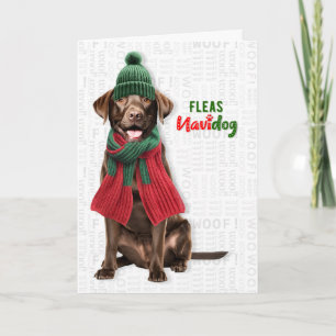 Cartão De Festividades Cachorro Labrador Chocolate Engraçado Pulgas Navid